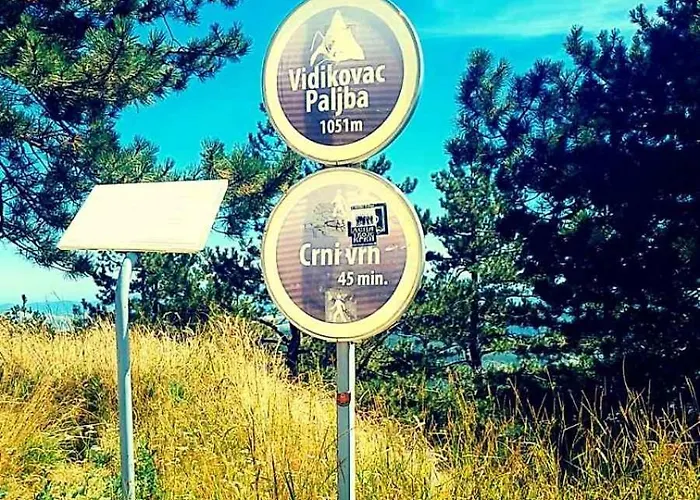 Djurdja アパート *